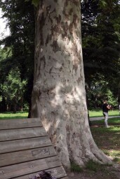 DSCF5026a