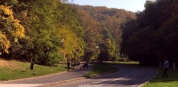 IMG_0145a