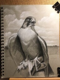 IMG_1126a