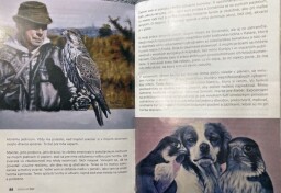 img_e8298