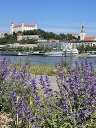 33.IMG_8318a