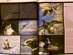 615467816_25702010892728693_4216633360692454243_n