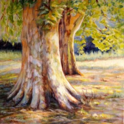 Sycamore