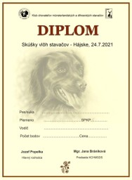 Diplom-SVS