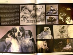 615494444_25702010906062025_5547388145353212297_n